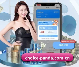 未来布局 - AI 与大数据深度融合,为用户提供个性化的智能服务。