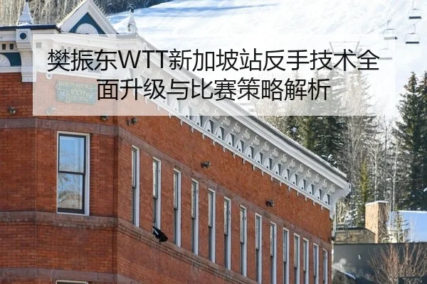 樊振东WTT新加坡站反手技术全面升级与比赛策略解析