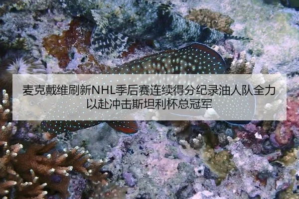 mai-ke-dai-wei-shua-xin-ji-hou-sai-lian-xu-de-fen-ji-lu-you-ren-dui-quan-li-yi-fu-chong-ji-si-tan-li-bei-zong-guan-jun-2-922.jpg