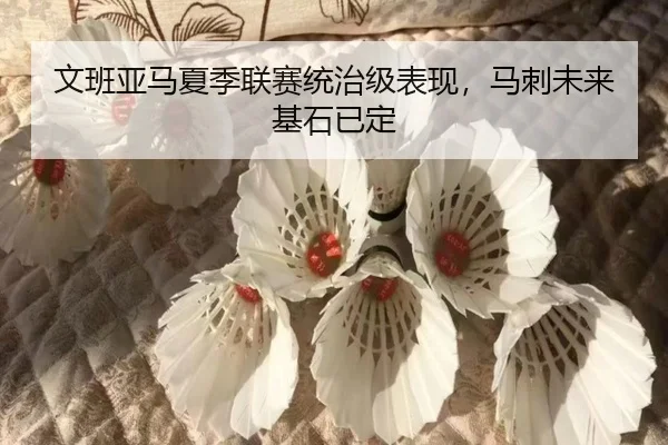 文班亚马夏季联赛统治级表现，马刺未来基石已定